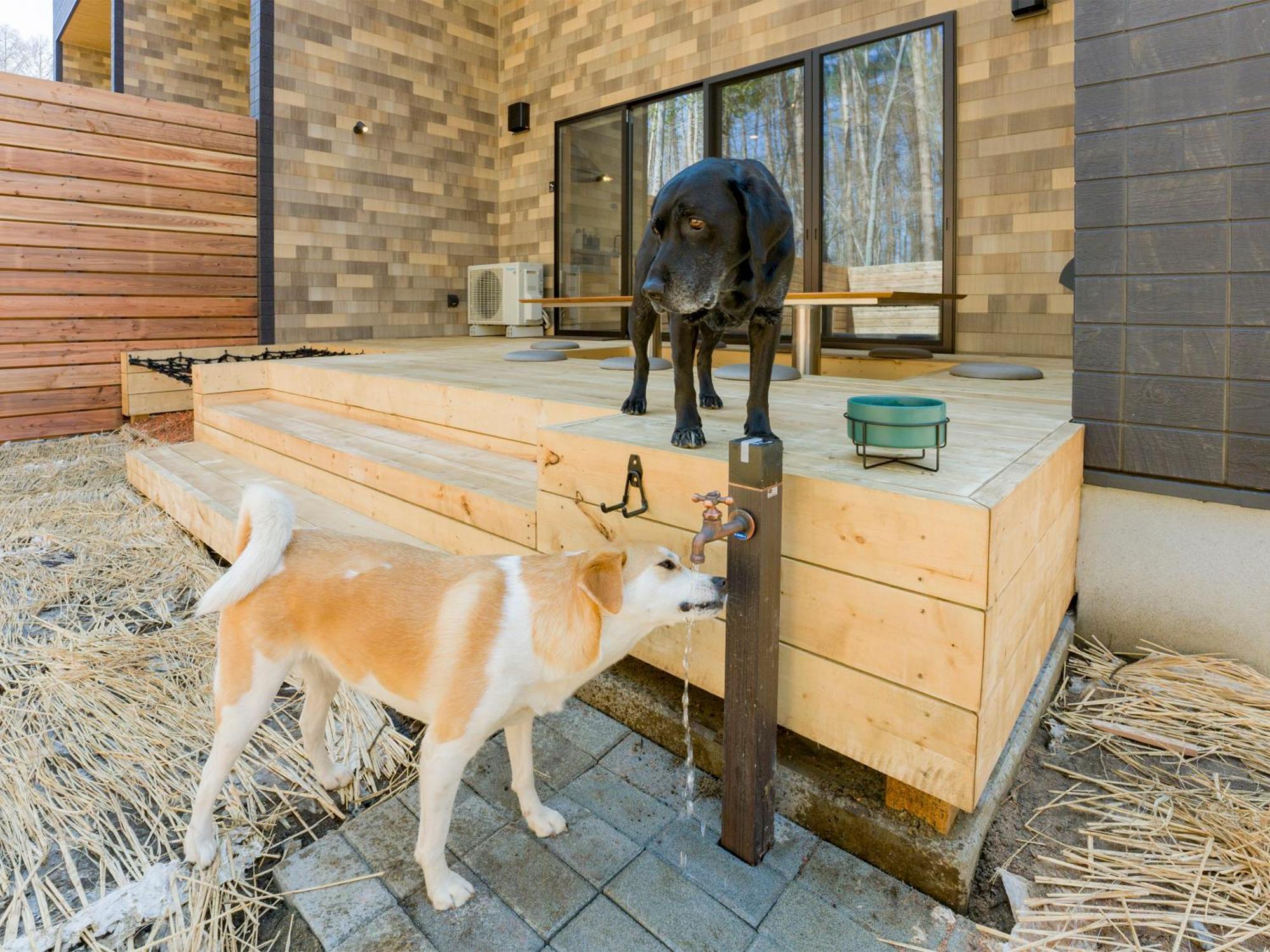 Rakuten Stay Villa Fujikawaguchiko Forest Eksteriør bilde
